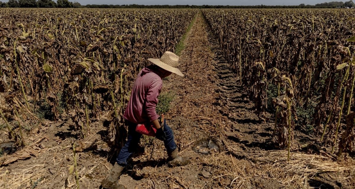 GOBIERNO ESTATAL REFUERZA PREVENCIÓN ANTE OLA DE CALOR EXTREMA