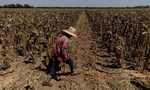 GOBIERNO ESTATAL REFUERZA PREVENCIÓN ANTE OLA DE CALOR EXTREMA