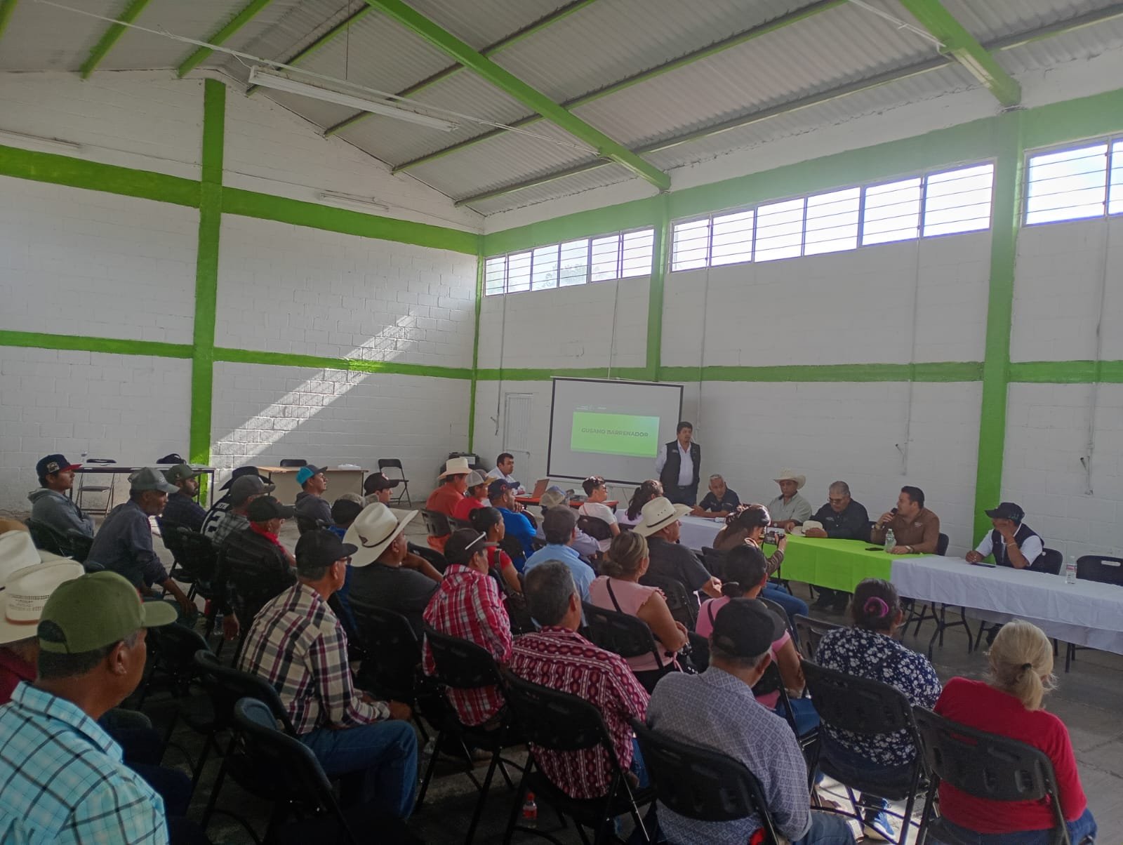 GOBIERNO ESTATAL REDOBLA LUCHA CONTRA GUSANO BARRENADOR