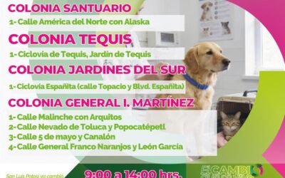 CONVOCA SERVICIOS DE SALUD A PROTEGER A PERROS Y GATOS CON VACUNACIÓN ANTIRRÁBICA