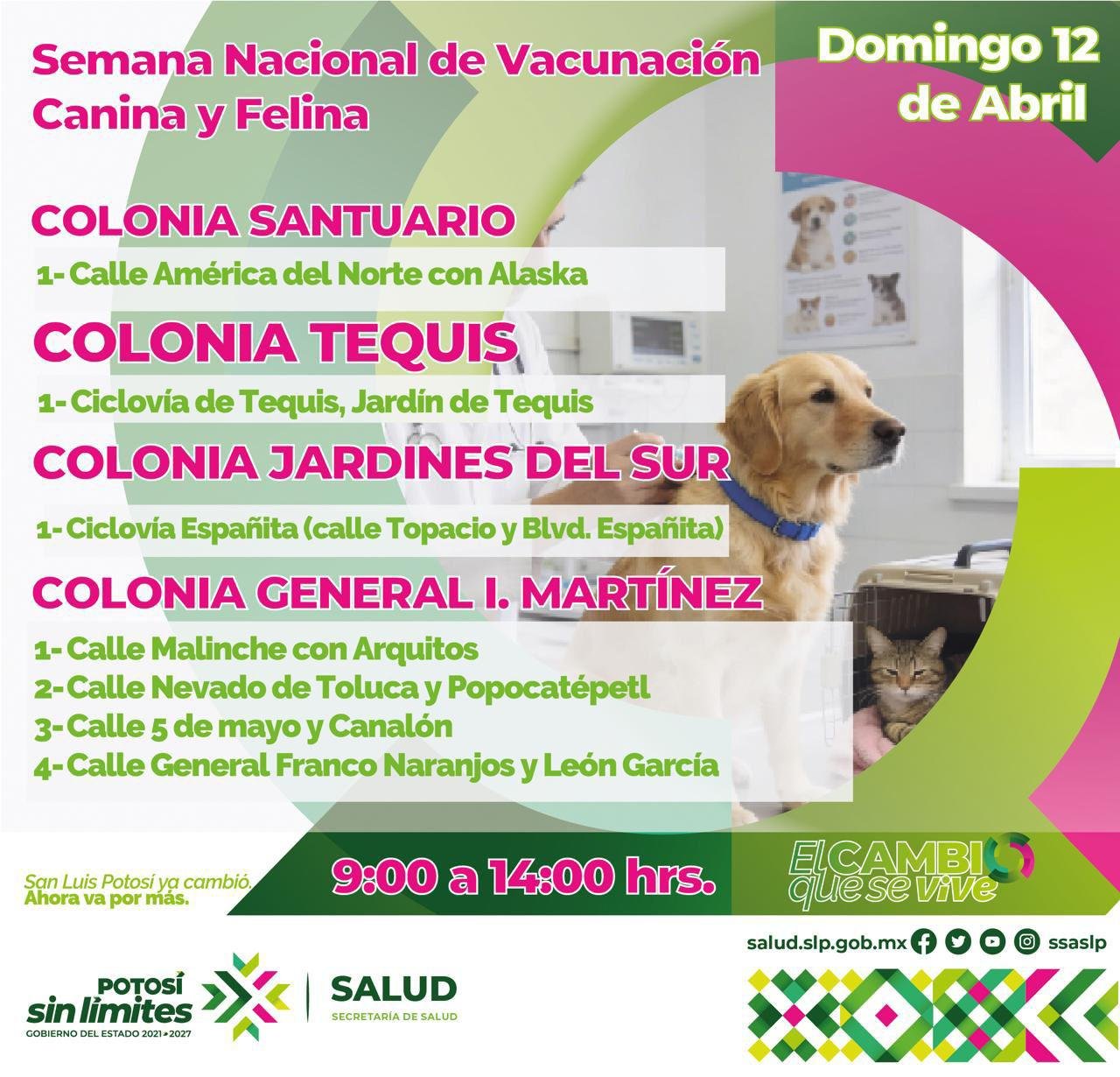 CONVOCA SERVICIOS DE SALUD A PROTEGER A PERROS Y GATOS CON VACUNACIÓN ANTIRRÁBICA