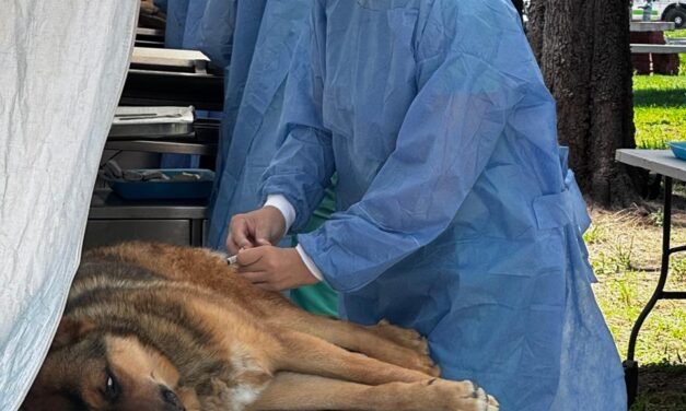 ESTADO AMPLÍA ACCIONES DE SALUD ANIMAL
