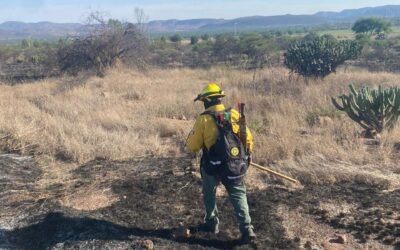 ESTADO ATIENDE INCENDIOS FORESTALES EN SANTA MARÍA DEL RÍO Y CÁRDENAS