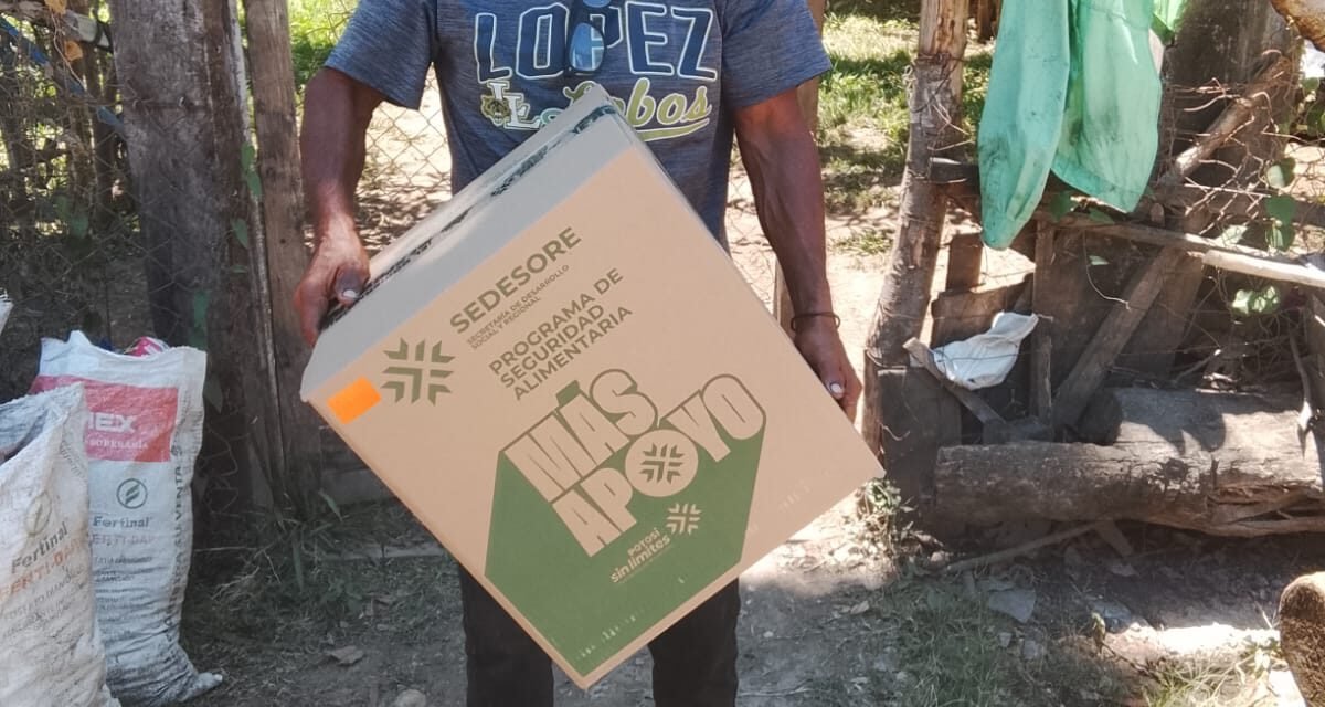 ESTADO LLEVA APOYO ALIMENTARIO HASTA LOS HOGARES