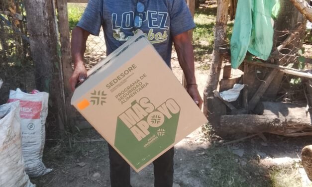 ESTADO LLEVA APOYO ALIMENTARIO HASTA LOS HOGARES