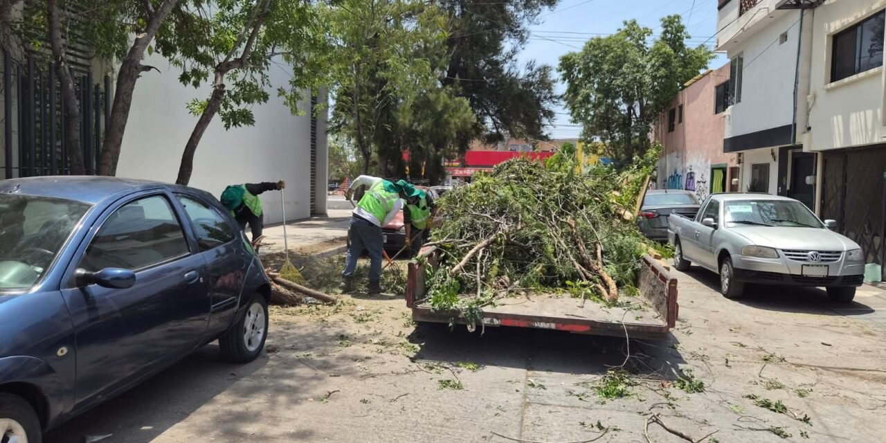 ESTADO RECUPERA COLONIAS Y FORTALECE BIENESTAR SOCIAL EN LA CAPITAL