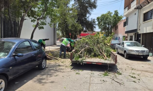 ESTADO RECUPERA COLONIAS Y FORTALECE BIENESTAR SOCIAL EN LA CAPITAL