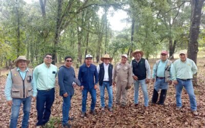 GOBIERNO ESTATAL APLICA “PLAN PILOTO” CONTRA GUSANO BARRENADOR