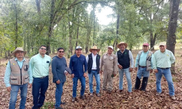 GOBIERNO ESTATAL APLICA “PLAN PILOTO” CONTRA GUSANO BARRENADOR