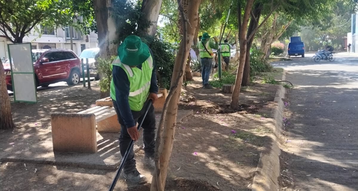 GOBIERNO ESTATAL ENCHULA SAN ÁNGEL I Y II