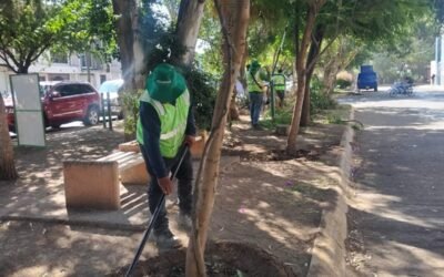 GOBIERNO ESTATAL ENCHULA SAN ÁNGEL I Y II