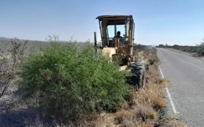 GOBIERNO ESTATAL FORTALECE CONECTIVIDAD EN CAMINOS DE CEDRAL