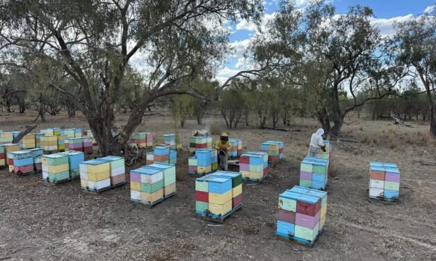GOBIERNO ESTATAL IMPULSA CELEBRACIÓN DEL DÍA MUNDIAL DE LAS ABEJAS