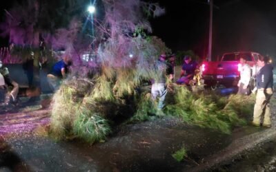 GOBIERNO ESTATAL REPORTA INCIDENTES MENORES TRAS LLUVIAS EN LA HUASTECA