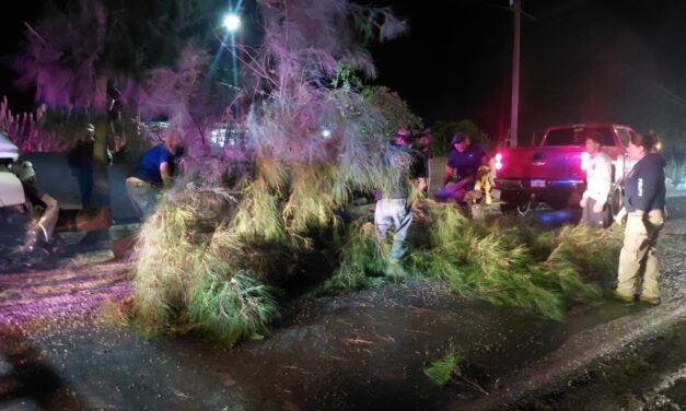 GOBIERNO ESTATAL REPORTA INCIDENTES MENORES TRAS LLUVIAS EN LA HUASTECA
