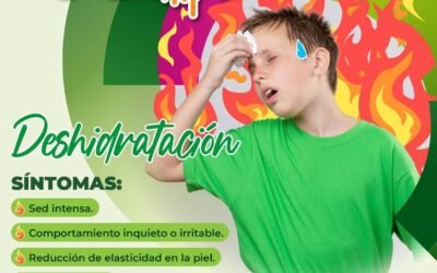 RECOMENDACIONES PARA LA TEMPORADA DE CALOR