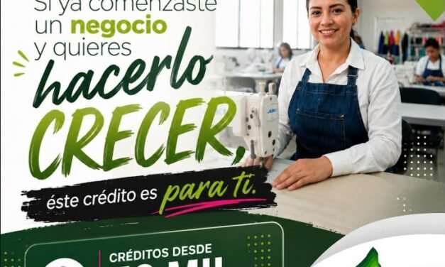 GOBIERNO ESTATAL FORTALECE A EMPRENDEDORES CON MÁS DE 4.4 MILLONES DE PESOS