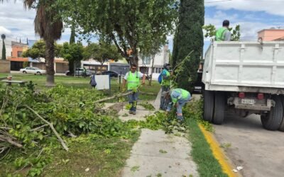 AVANZA RESCATE DE COLONIAS CON MÁS DE 28 MIL METROS CUADRADOS DE BACHEO