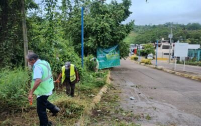 GOBIERNO ESTATAL LLEVA ENCHULANDO TU COMUNIDAD A TAMAZUNCHALE