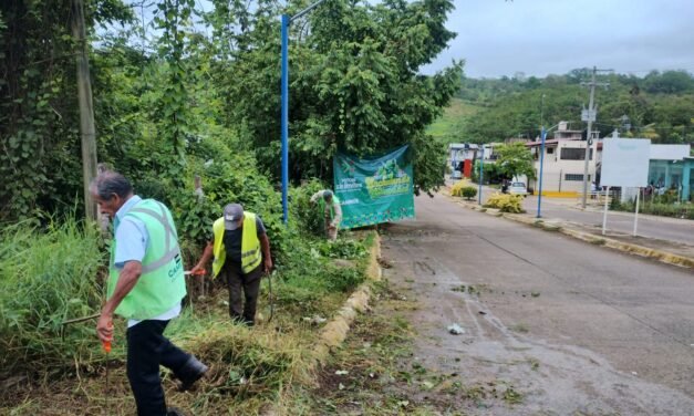GOBIERNO ESTATAL LLEVA ENCHULANDO TU COMUNIDAD A TAMAZUNCHALE