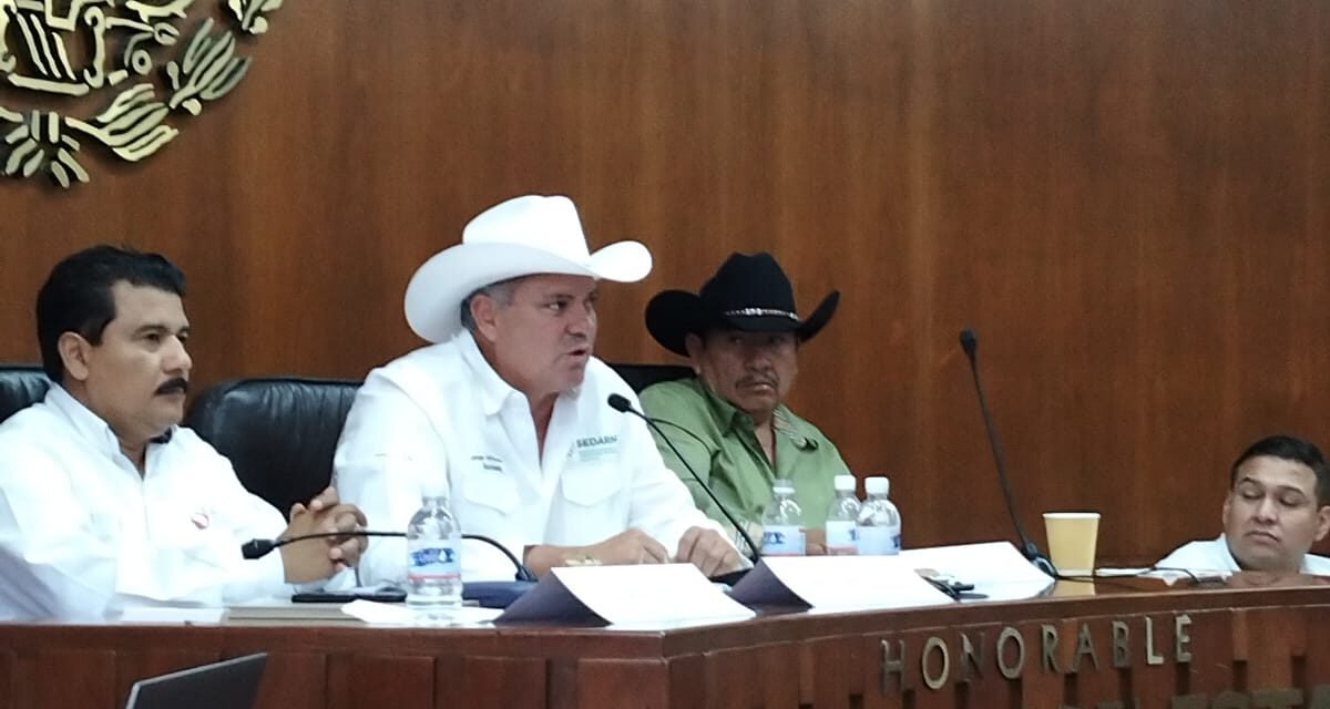 GOBIERNO ESTATAL IMPULSA LEY PARA FORTALECER LA PREVENCIÓN DE INCENDIOS FORESTALES