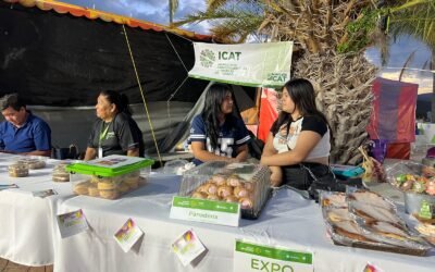 ICAT ABRE MÁS RUTAS DE CAPACITACIÓN PARA EL EMPLEO