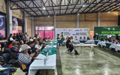 GOBIERNO DEL ESTADO MANTIENE BAJO CONTROL EL GUSANO BARRENADOR
