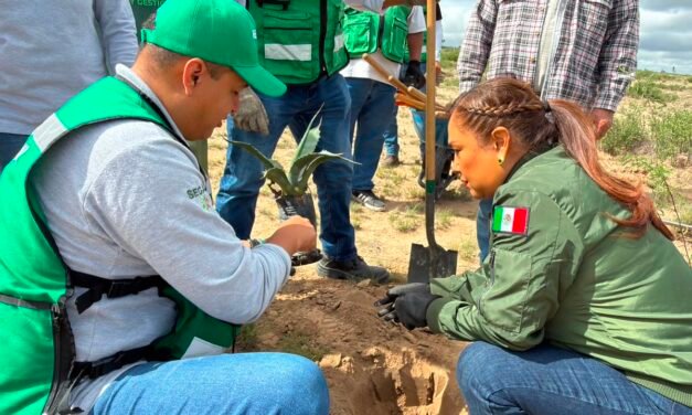 SAN LUIS POTOSÍ CONMEMORA EL DÍA DEL ÁRBOL CON REFORESTACIÓN