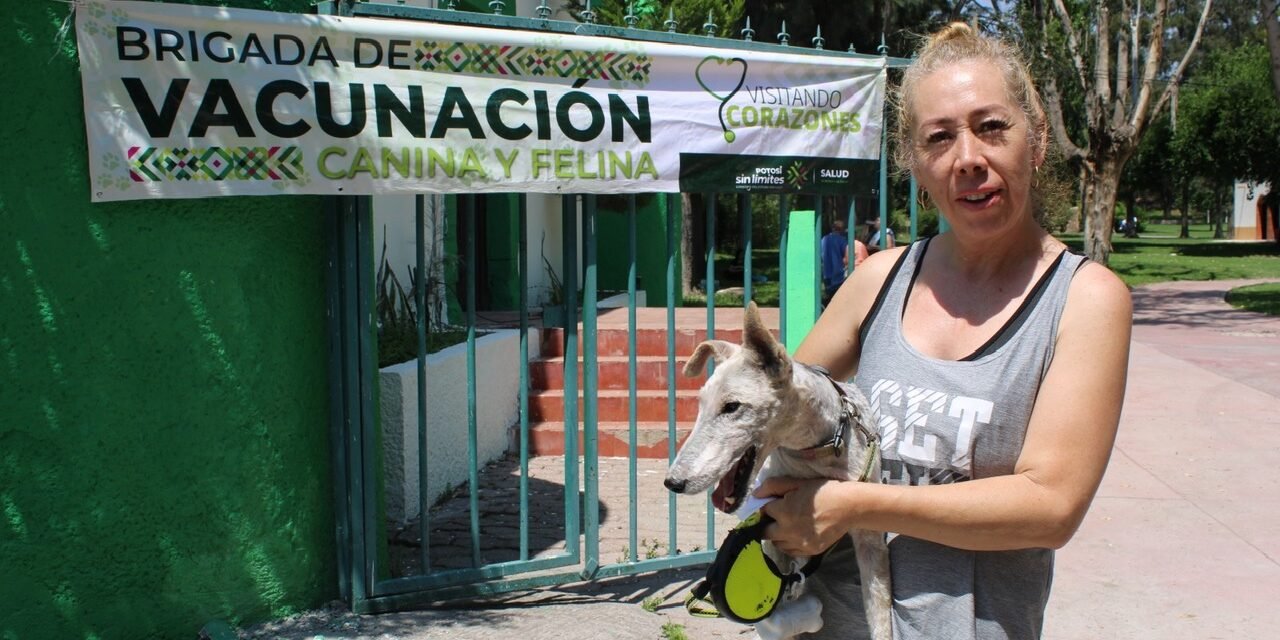 DÍA MUNDIAL DEL PERRO