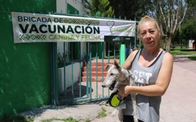 DÍA MUNDIAL DEL PERRO