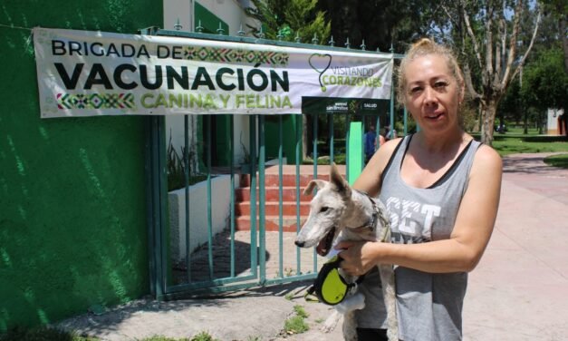 DÍA MUNDIAL DEL PERRO
