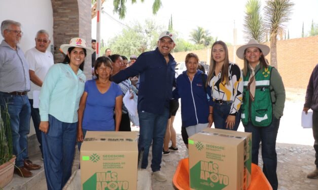 APOYOS ALIMENTARIOS LLEGAN DIRECTAMENTE A FAMILIAS DE CUATRO REGIONES