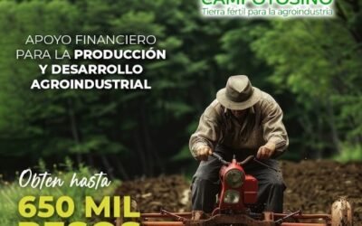 SIFIDE ACERCARÁ CRÉDITOS Y ASESORÍA DURANTE LA FENAPO