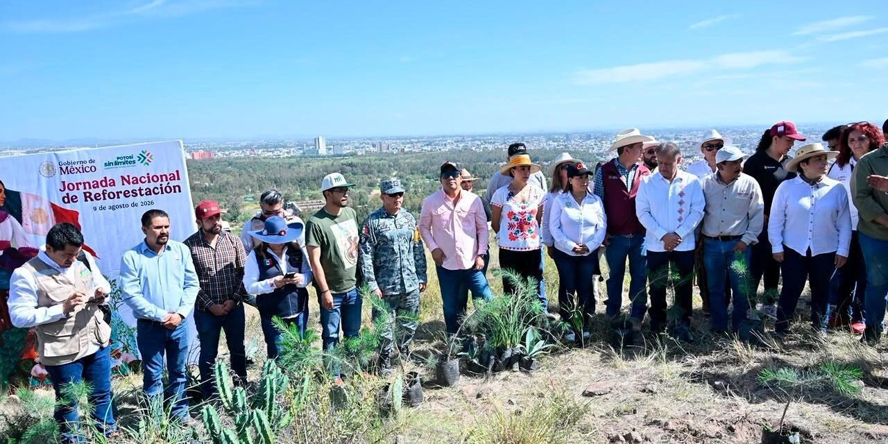 NUEVAS ACCIONES DE REFORESTACIÓN PROTEGERÁN LA SIERRA DE SAN MIGUELITO