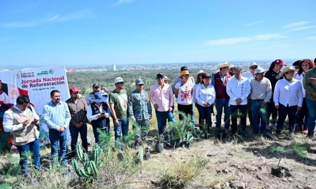 NUEVAS ACCIONES DE REFORESTACIÓN PROTEGERÁN LA SIERRA DE SAN MIGUELITO