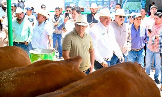FENAPO EXHIBE LO MEJOR DEL GANADO LIMOUSIN NACIONAL