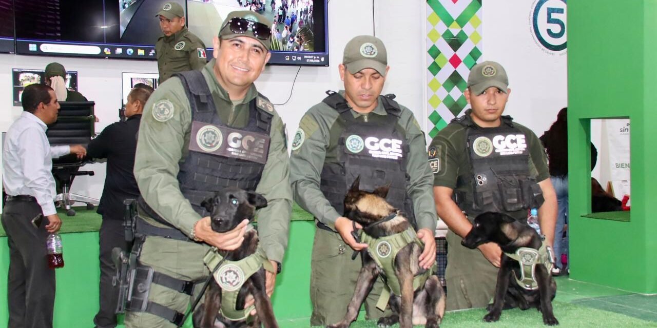 STAND DE SEGURIDAD COMBINA PREVENCIÓN, TECNOLOGÍA Y DIVERSIÓN EN LA FENAPO