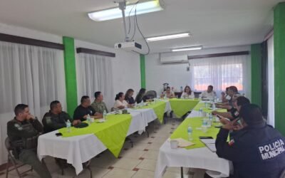 CONSEJOS MUNICIPALES DAN SEGUIMIENTO PERMANENTE A LA SEGURIDAD EN LOS 59 MUNICIPIOS