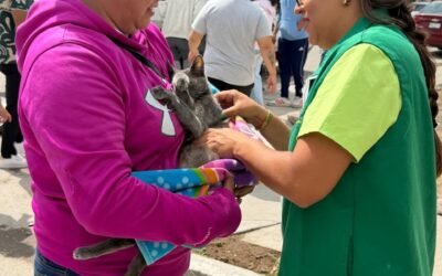 EL CAMBIO SE VIVE EN SAN LUIS POTOSÍ CON ACCIONES DE SALUD ANIMAL