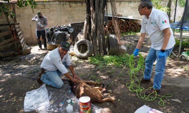 SLP REFUERZA EL COMBATE AL GUSANO BARRENADOR