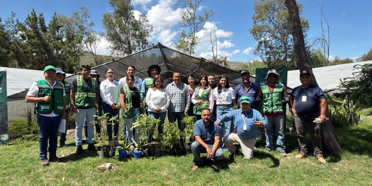 SEGAM MANTENDRÁ REFORESTACIÓN PERMANENTE EN LAS CUATRO REGIONES