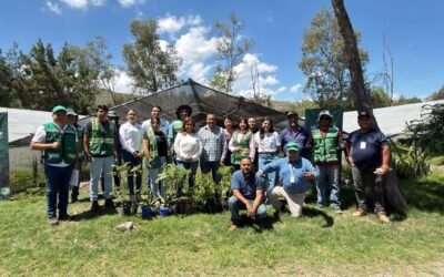 SEGAM MANTENDRÁ REFORESTACIÓN PERMANENTE EN LAS CUATRO REGIONES