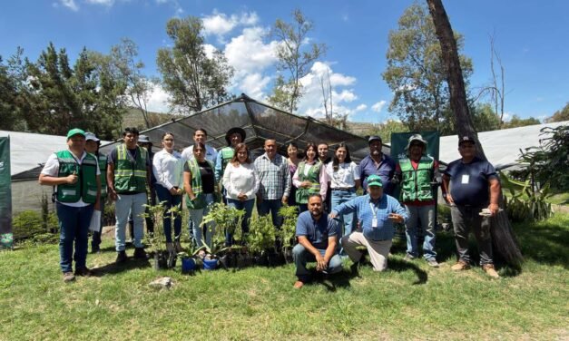 SEGAM MANTENDRÁ REFORESTACIÓN PERMANENTE EN LAS CUATRO REGIONES