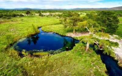 GOBIERNO DEL ESTADO AVANZA EN LA PROTECCIÓN DE LOS PEROLES EN RIOVERDE