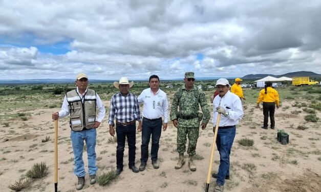 GOBIERNO DEL ESTADO REFORESTA CON ESPECIES FRUTALES Y MADERABLES