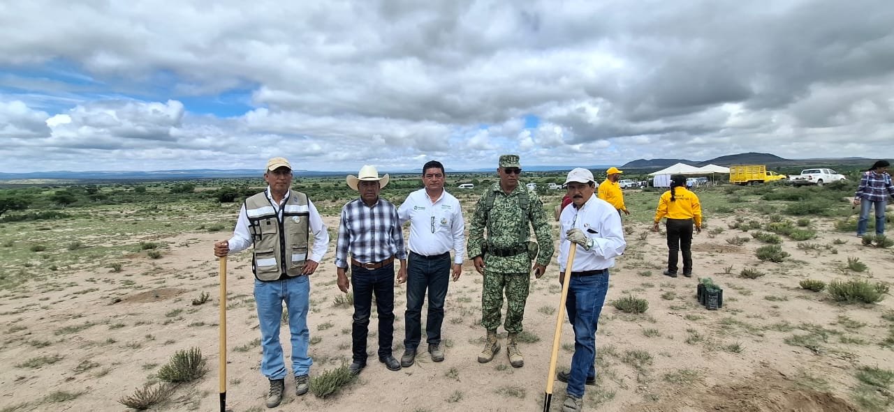 GOBIERNO DEL ESTADO REFORESTA CON ESPECIES FRUTALES Y MADERABLES