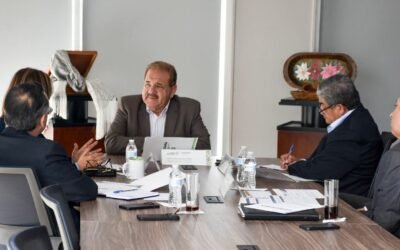 PLAN 10 DE 10 PREPARA A MIPYMES POTOSINAS PARA INTEGRARSE A GRANDES CADENAS DE VALOR