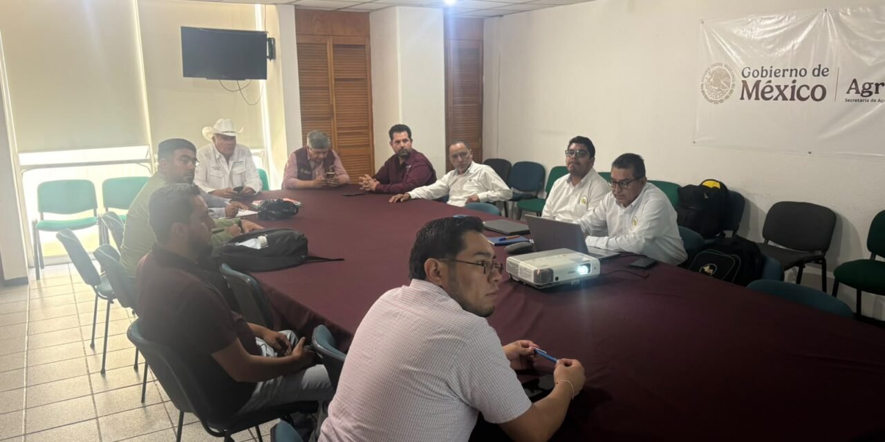 GOBIERNO DEL ESTADO INTENSIFICA EL OPERATIVO CONTRA LA PLAGA DE LANGOSTA EN CUATRO MUNICIPIOS