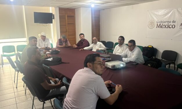 GOBIERNO DEL ESTADO INTENSIFICA EL OPERATIVO CONTRA LA PLAGA DE LANGOSTA EN CUATRO MUNICIPIOS