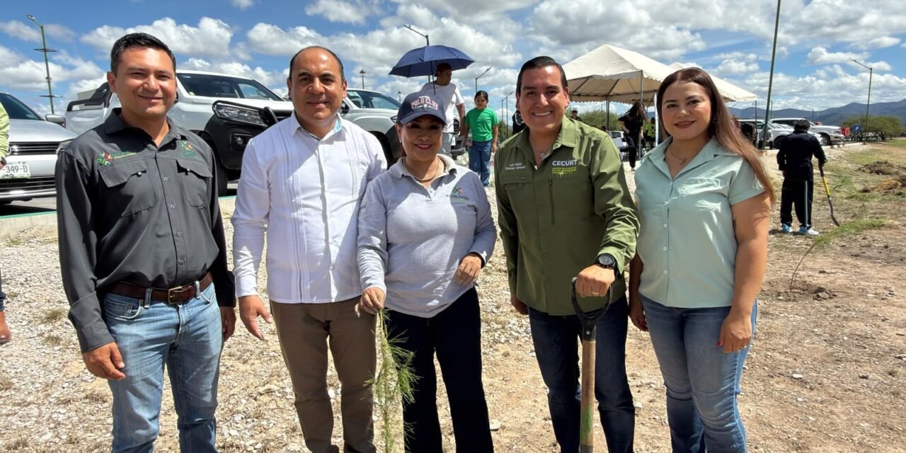 GOBIERNO DEL ESTADO AMPLÍA ÁREAS VERDES CON REFORESTACIÓN EN PARQUE LAS CAMELIAS